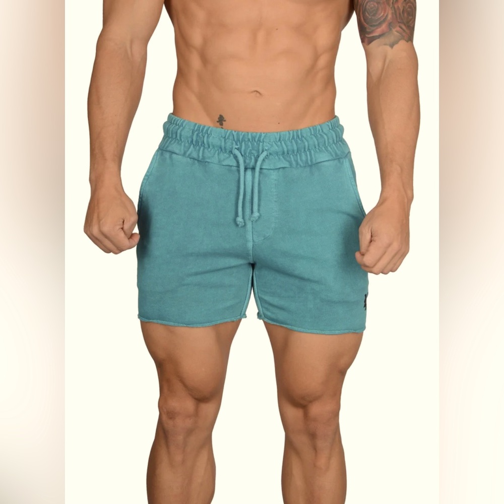YoungLA Teal (Medium) Bodybuilding French Terry Shorts - 102